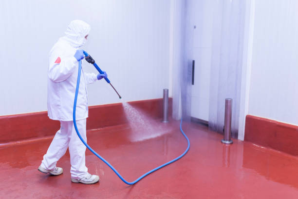 Best Residential Pressure Washing in Dutch Island, GA