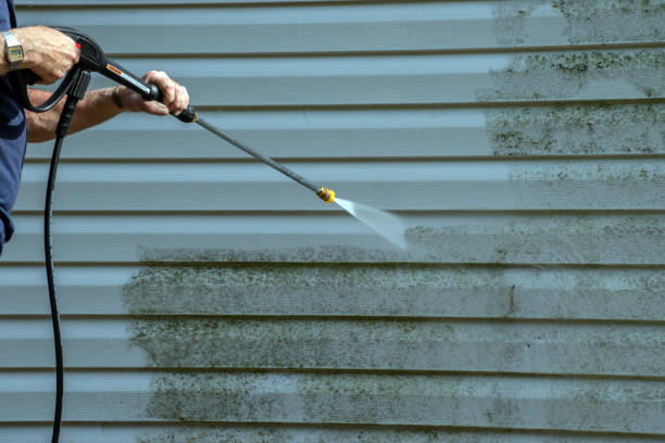 Best Soft Washing for Delicate Surfaces in Dutch Island, GA