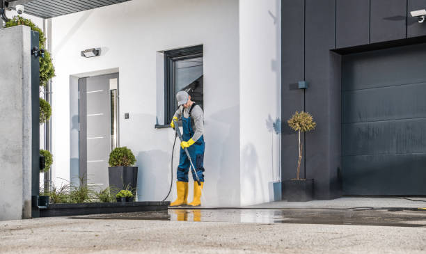 Best Fence Cleaning and Maintenance in Dutch Island, GA